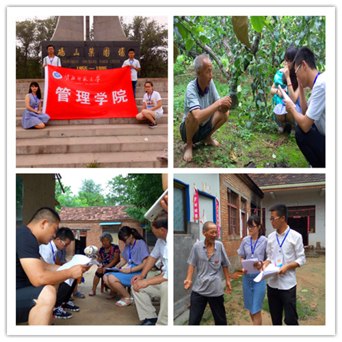 色综合久久久久无码专区