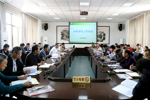 色综合久久久久无码专区