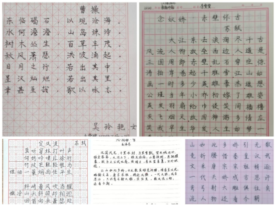 色综合久久久久无码专区