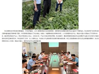 【主题教育】安徽教育网： 走出去 沉下来 色综合久久久久无码专区深入省级科研基地调研